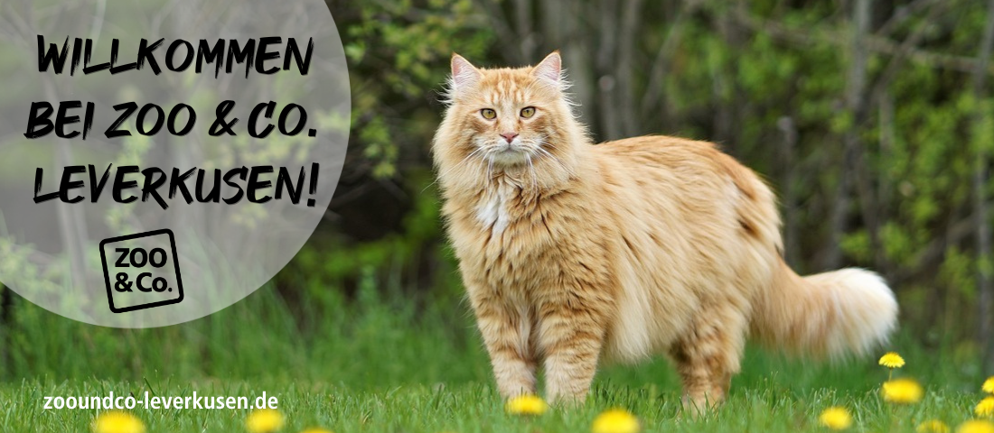 Herzlich Willkommen beim ZOO & Co. Tierfachhandel in Leverkusen